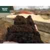 Bulk Bag of Screened Topsoil