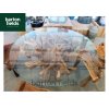 Glass Topped Root Table and Four Chair Dining / Garden Table Set - Made from Reclaimed Teak
