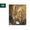 2 Fall Tree Trunk Self Contained Water Feature