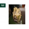 Boston Driftwood Self Contained Water Feature