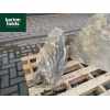 Natural Silver Quartz Stone Monolith - Pre-Drilled Water Feature. Ref: SQ-300 - 520mm High