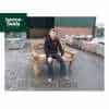 Giants Garden Bench / Seat: 1400mm Wide - Made from Reclaimed Teak