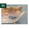 Root Garden Bench / Seat: 1570mm Wide - Made from Reclaimed Teak