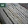 Natural Stone Paving, Sandstone. 4 Size Paving in Forest Blend