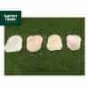 Natural Stone Paving, Sandstone. Random Shaped Stepping Stones. Sahara