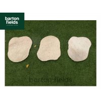 Natural Sandstone Stepping Stones, Sahara :  Random Shapes
