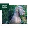 Great Dane Dog in Aged Cotswold Colour - Height 1150mm