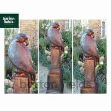 Eagle on Vienna Plinth in Burnt Umber Finish - Height 1400mm