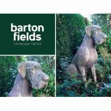 Great Dane Dog in Aged Cotswold Colour - Height 1150mm