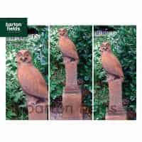 Owl on Vienna Plinth in Rust Finish - Height 1430mm