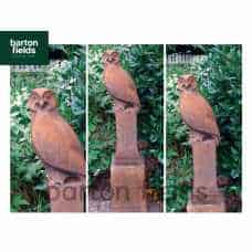 Owl on Vienna Plinth in Rust Finish - Height 1430mm