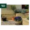Tumbled Garden Walling Stone, 229x100x65mm Size Walling in Cotswold Buff Colour - Pack 5m2